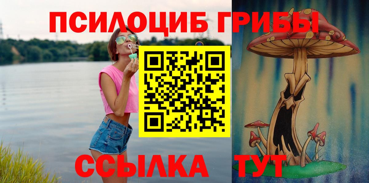 Галлюциногенные грибы Psilocybine cubensis Партизанск