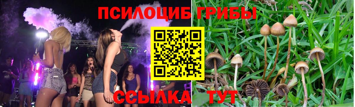 Псилоцибиновые грибы GOLDEN TEACHER  как найти закладки  Партизанск  Вход с VPN 